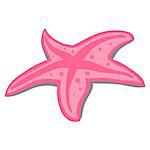 pink beach starfish illustration on a white background isolated