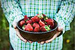 Fresh fruit. Farmer with bowl of strawberries. Fruit basket.