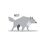 Wolf Drawing For Arctic Animals Collection Of Flat Vector Illustration In Creative Style On White Background