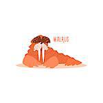 Walrus Drawing For Arctic Animals Collection Of Flat Vector Illustration In Creative Style On White Background