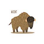 Wisent Drawing For Arctic Animals Collection Of Flat Vector Illustration In Creative Style On White Background