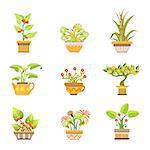 Flowers In Pots Set Of Hand Drawn Fantasy Stickers In Cute Cartoon Style Isolated On White Background