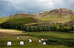 Mountainous landscape