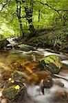 Time lapse view of rocky creek