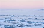 Trees in fields in snowy rural landscape