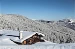 Log cabin on snowy mountainside