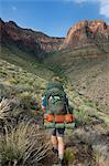 Man hiking, New Hance, Grandview Hike, Grand Canyon, Arizona, USA