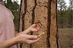 Woman holding tree bark