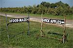 Signs on pick your own farm