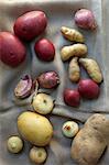 Potatoes, shallots and onions, still life
