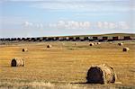 Bales of hay in field with freight train in distance