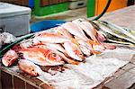 Fresh fish on market stall, Bridgetown, Barbados