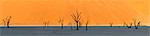 Panoramic view of Dead acacia trees in Dead Vlei, Namibia