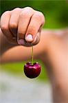 Boy holding cherry by stem