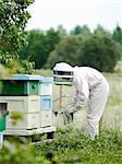 Beekeeper at work