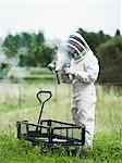 Beekeeper at work