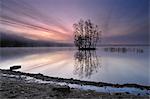 Lake at morning light