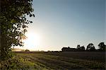 Tractor on field