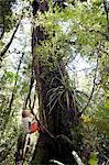 Boy climbing tree