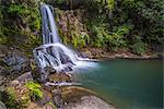 Waiau Falls, a waterfall on Road 309, Coromandel Peninsula, North Island, New Zealand, Pacific