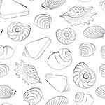 Seashells white seamless background. Marine and underwater themes.