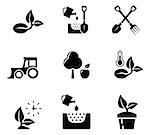 set of black isolated aqriculture objects on white background