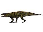 Batrachotomus was a carnivorous archosaur predator that lived in Germany during the Triassic Period.