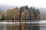 Autumn forest on the shores of lake. Kladska peats -Glatzener Moor -  is a national nature reserve in Slavkov Woods - protected landscape area. Slavkov Forest - Kaiserwald  is geomorphological unit in the northern part of the Carlsbad Highlands. Kladska, Czech republic.