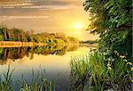 Bright yellow evening on a calm river in forest