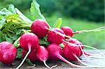 Red radish on a bench against background green grass