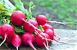 Red radish on a bench against background green grass