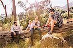 Four male campers chatting on fallen tree, Deer Park, Cape Town, South Africa