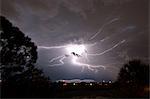 Lightning seems to explode from one point into a spider, lighting up the sky in Rockledge, Florida, USA