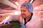 Worker wearing hair net checking vegetables growing in artificial light smiling