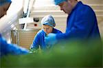 Workers on production line wearing hair nets packaging vegetables