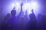 Rear view of group in club arms raised watching concert