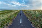 Bikeway on Headland in the Morning, Thy National Park, Agger, North Jutland, Denmark
