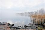 Sweden, Uppland, Lidingo, Fog over lake