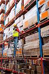 Worker on ladder in warehouse