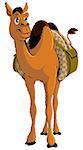 Cartoon Camel