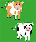 two cute fun spotted cow,  isolated cartoon calf