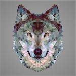 Wolf portrait. Low poly design. Abstract polygonal illustration.