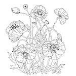 field poppies. Spring Pattern for adult coloring book in zenart style. Hand-drawn, retro, doodle, vector, uncoloured. The best for your design, textiles, posters, coloring book in vector.