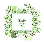 Fresh herbs store emblem. Green square frame with collection of plants. Silhouette of branches isolated on white background