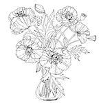 field poppies  for adult coloring book in zenart style. Hand-drawn, retro, doodle, vector, uncoloured. The best for your design, textiles, posters, coloring book in vector.