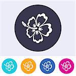 Vector hibiscus blossom icon on round colorful buttons