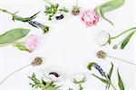 Pink tulips, white anemonse, pink cloves and white buttercups lying on white background from the top in the circle, prepered to do bouquet