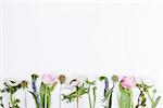 Pink tulips, white anemones, pink cloves and white buttercups lying on white background in a row