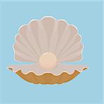 Scallop open seashell with pearl isolated on blue