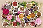 Herb and flower selection used in natural herbal medicine over hemp paper background.
